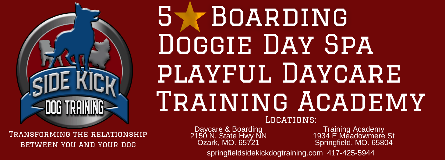 What We Offer Springfield Side Kick Dog Training